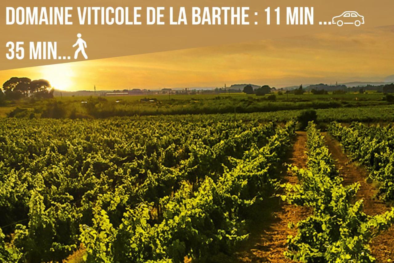 Centre Historique- Free Parking-wifi-campagne Chic- Sleepntripbeziers