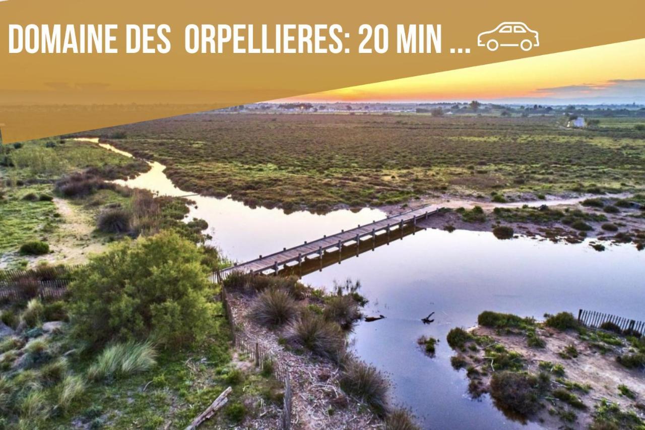 Centre Historique- Free Parking-wifi-campagne Chic- Sleepntripbeziers